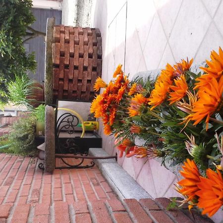 Bed&Breakfast La Siepe Pinerolo Ngoại thất bức ảnh