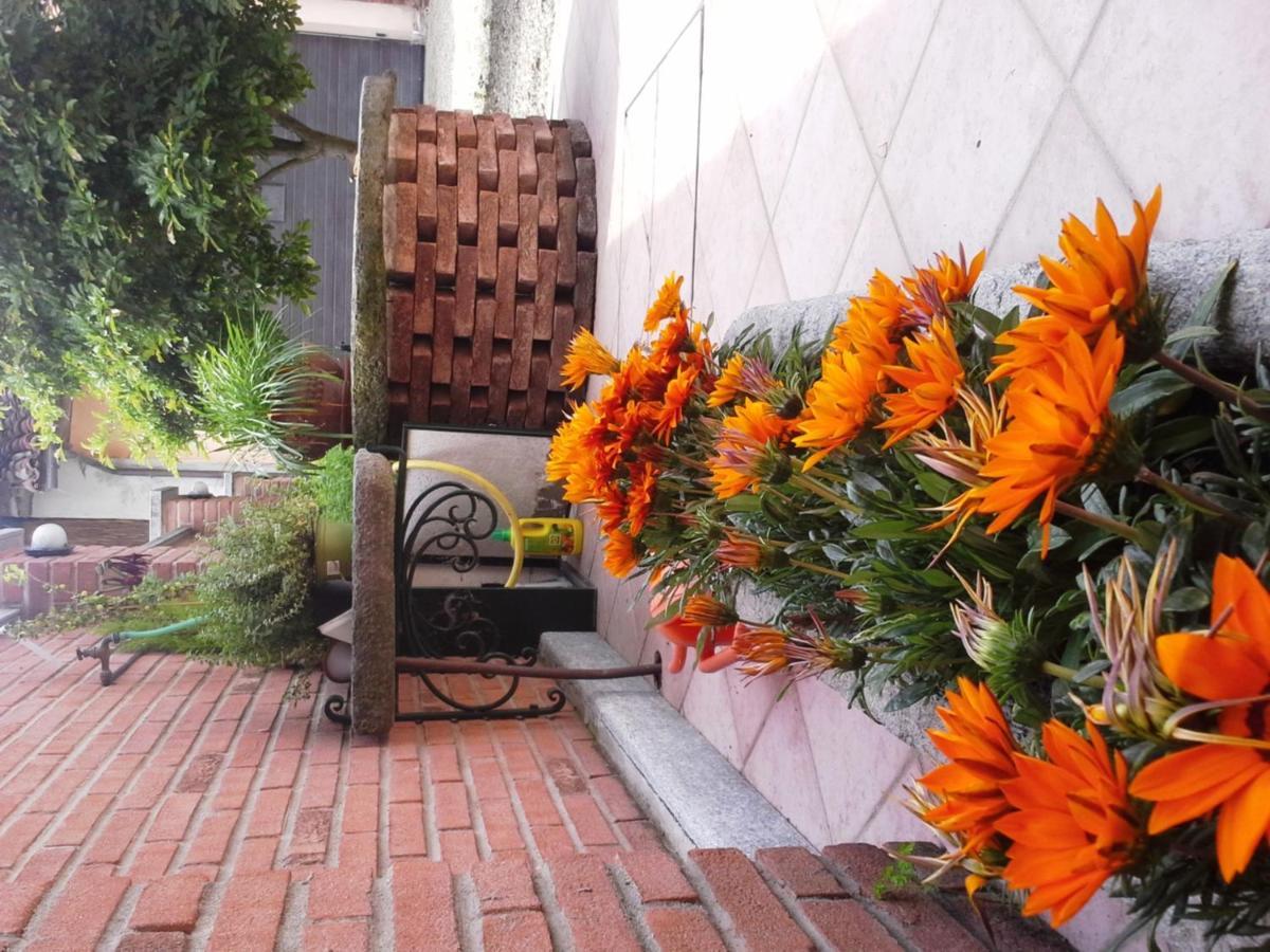 Bed&Breakfast La Siepe Pinerolo Ngoại thất bức ảnh