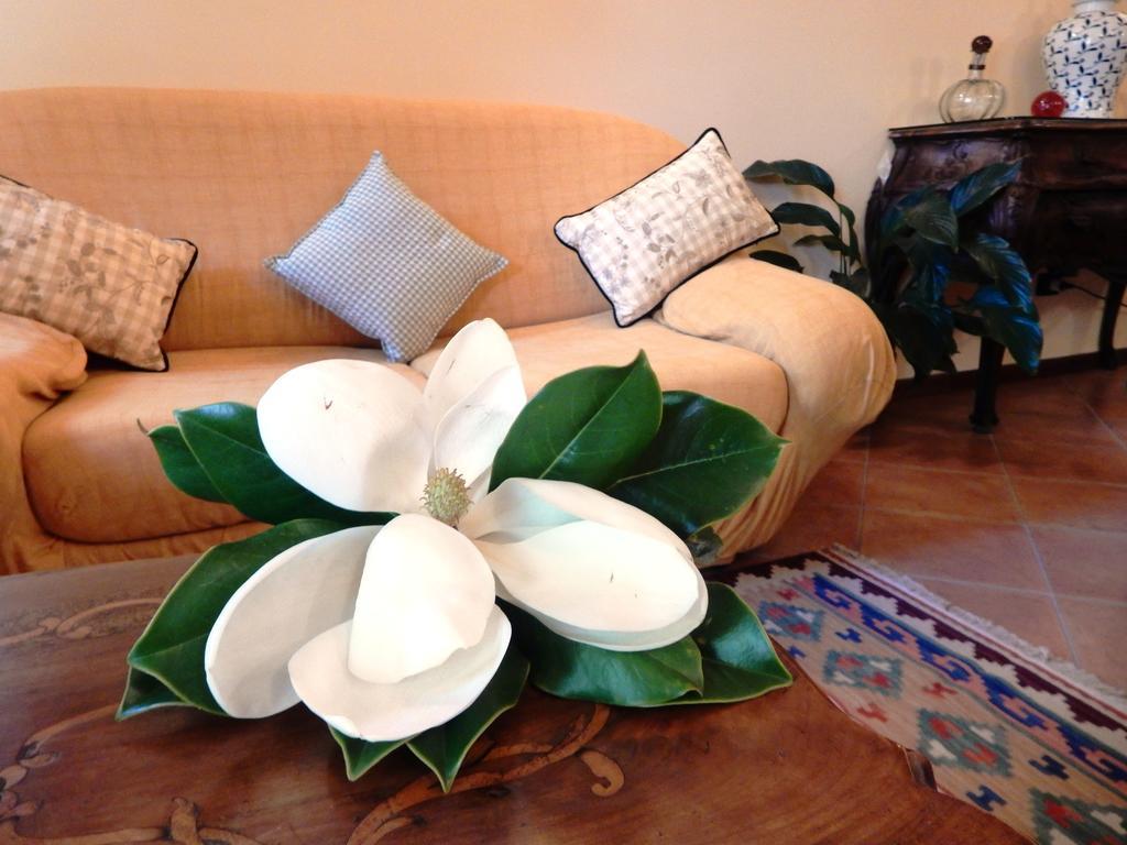 Bed&Breakfast La Siepe Pinerolo Ngoại thất bức ảnh
