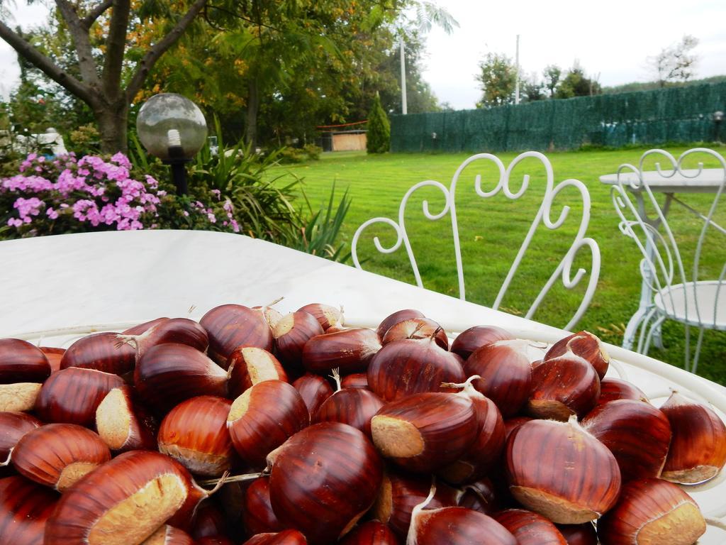 Bed&Breakfast La Siepe Pinerolo Ngoại thất bức ảnh